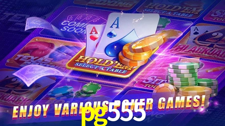 Login Seguro pg555